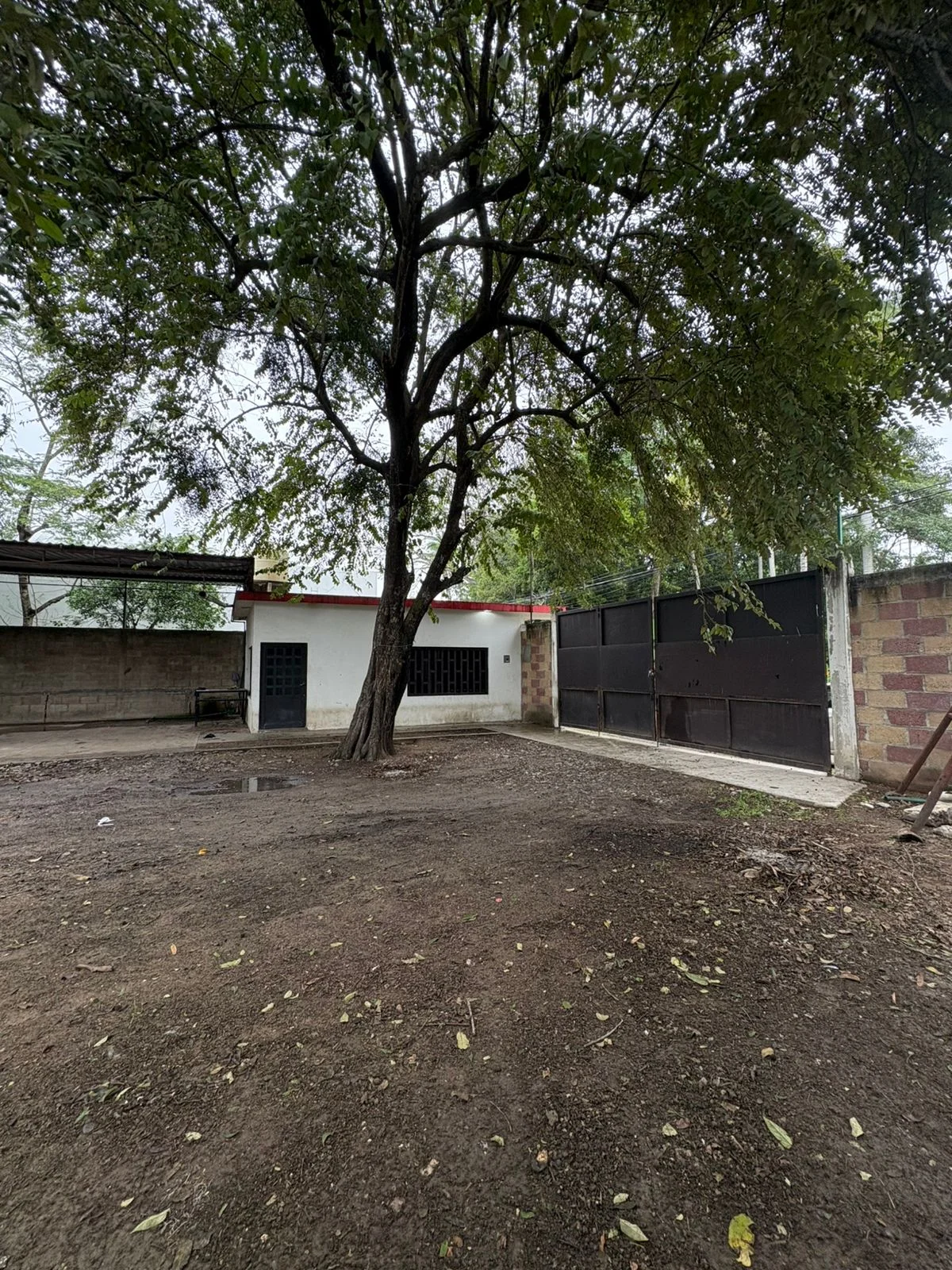 Bodega LAC